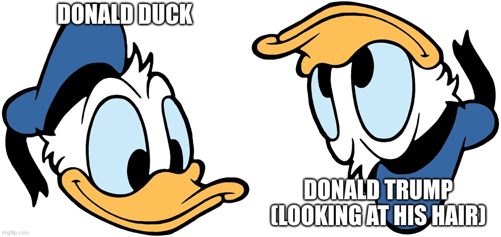 ONCE YOU SEE IT YOU CAN'T UNSEE IT | DONALD DUCK; DONALD TRUMP (LOOKING AT HIS HAIR) | made w/ Imgflip meme maker