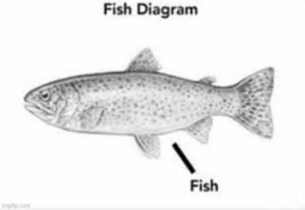 posting science diagrams that look like shitposts until mods get involved | made w/ Imgflip meme maker