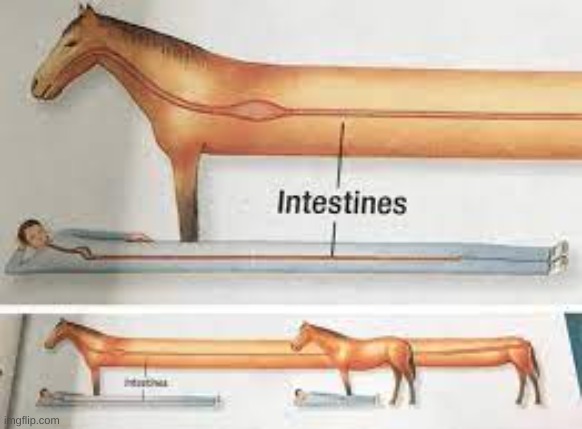 posting science diagrams that look like shitposts until mods get involved | made w/ Imgflip meme maker