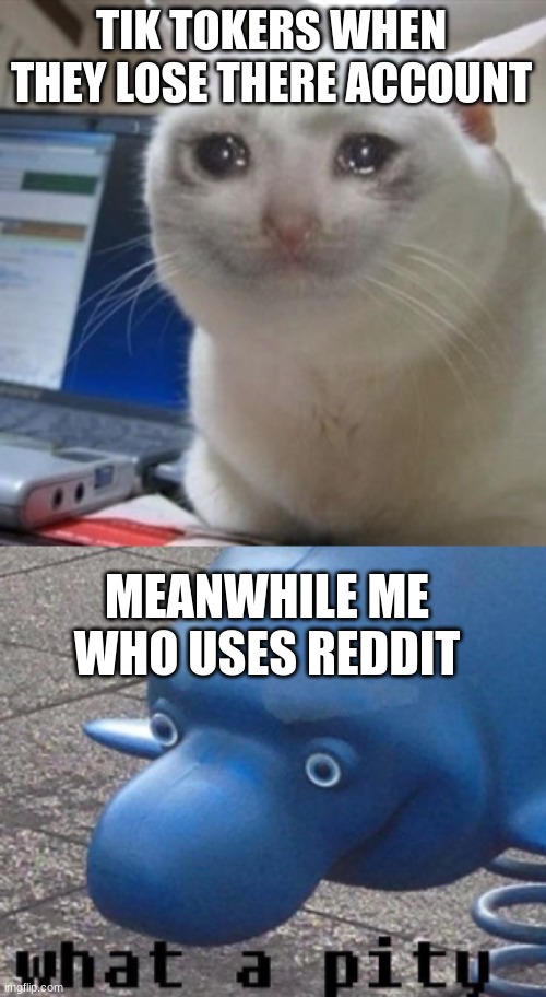 haha | TIK TOKERS WHEN THEY LOSE THERE ACCOUNT; MEANWHILE ME WHO USES REDDIT | image tagged in crying cat | made w/ Imgflip meme maker