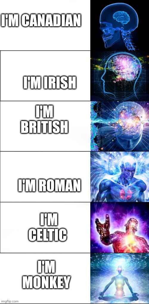 Expanding brain | I'M CANADIAN; I'M IRISH; I'M BRITISH; I'M ROMAN; I'M CELTIC; I'M MONKEY | image tagged in expanding brain | made w/ Imgflip meme maker