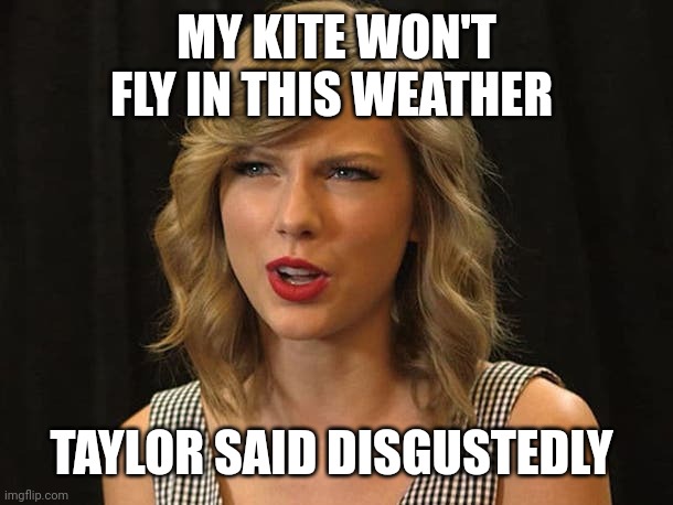 Taylor said disgustedly | MY KITE WON'T FLY IN THIS WEATHER; TAYLOR SAID DISGUSTEDLY | image tagged in taylor swiftie | made w/ Imgflip meme maker