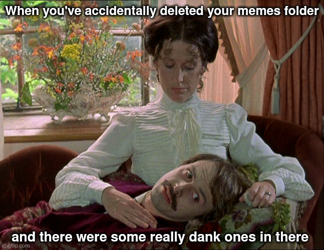 deleted | When you've accidentally deleted your memes folder; and there were some really dank ones in there | image tagged in disconsolate percy | made w/ Imgflip meme maker
