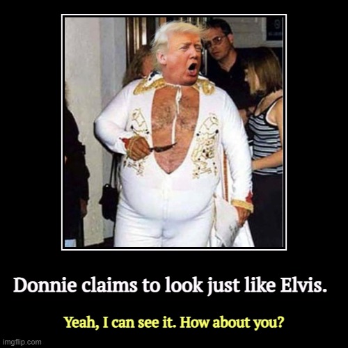 Smelvis Strikes Again! Outside of a nasty drug habit, they have nothing in common. | Donnie claims to look just like Elvis. | Yeah, I can see it. How about you? | image tagged in funny,demotivationals,trump,elvis,elvis presley,twins | made w/ Imgflip demotivational maker