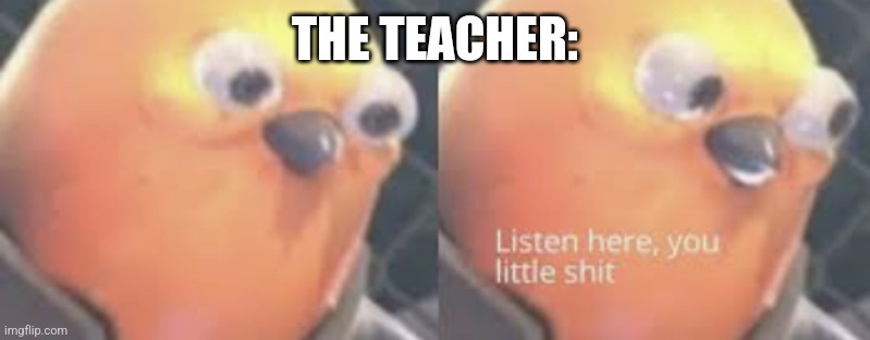 Listen here you little shit bird | THE TEACHER: | image tagged in listen here you little shit bird | made w/ Imgflip meme maker