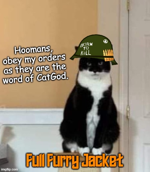 Full Furry Jacket | Hoomans, obey my orders as they are the word of CatGod. Full Furry Jacket | image tagged in full metal jacket | made w/ Imgflip meme maker