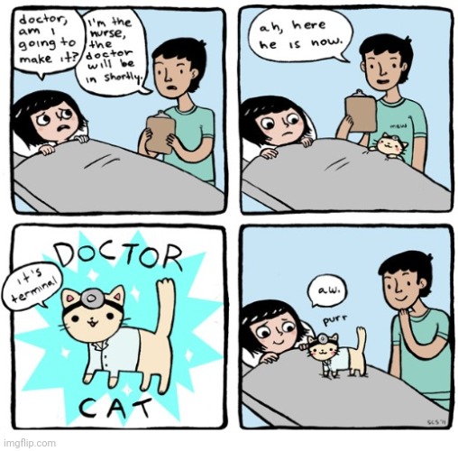 Doctor cat, wow | image tagged in doctor,cat,cats,doctors,comics,comics/cartoons | made w/ Imgflip meme maker