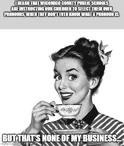 complete idiocy!!! | I HEARD THAT WICOMICO COUNTY PUBLIC SCHOOLS ARE INSTRUCTING OUR CHILDREN TO SELECT THEIR OWN PRONOUNS, WHEN THEY DON'T EVEN KNOW WHAT A PRONOUN IS. BUT THAT'S NONE OF MY BUSINESS... | image tagged in retro woman teacup,democrats,gender,pronouns,teachers | made w/ Imgflip meme maker