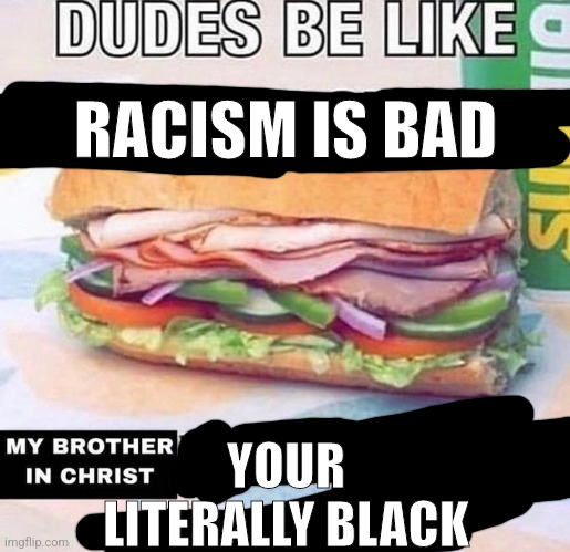 Brother in Christ Subway | RACISM IS BAD; YOUR LITERALLY BLACK | image tagged in brother in christ subway | made w/ Imgflip meme maker