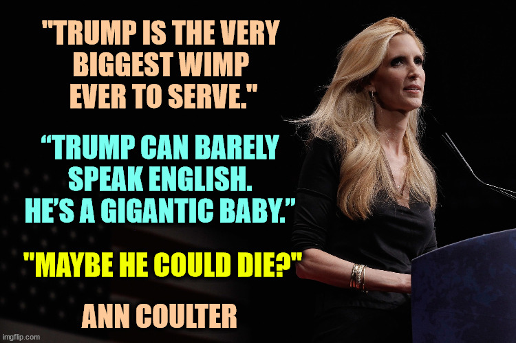 When Trump said Mexico would pay for the border wall, she believed him. | "TRUMP IS THE VERY 
BIGGEST WIMP 
EVER TO SERVE."; “TRUMP CAN BARELY 
SPEAK ENGLISH. 
HE’S A GIGANTIC BABY.”; "MAYBE HE COULD DIE?"; ANN COULTER | image tagged in ann coulter,trump,disappointment,wimp,baby,die | made w/ Imgflip meme maker