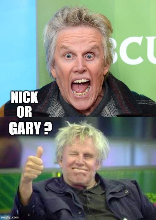 NICK
OR GARY ? | image tagged in crazy gary busey,nick nolte | made w/ Imgflip meme maker