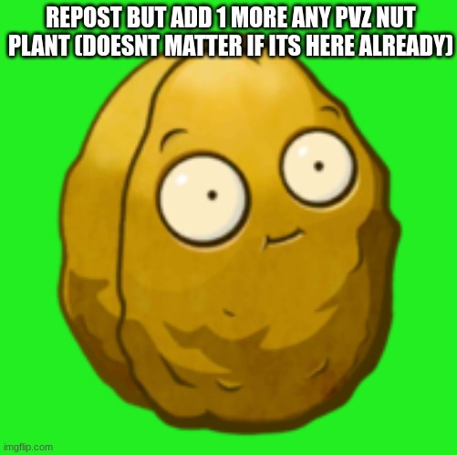 lets see how NUTS this is going!! | REPOST BUT ADD 1 MORE ANY PVZ NUT PLANT (DOESNT MATTER IF ITS HERE ALREADY) | image tagged in wall-nut,nut,pvz,walnut,wallnut,nutty | made w/ Imgflip meme maker