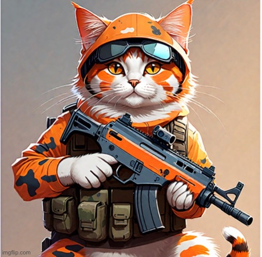 new cat | made w/ Imgflip meme maker