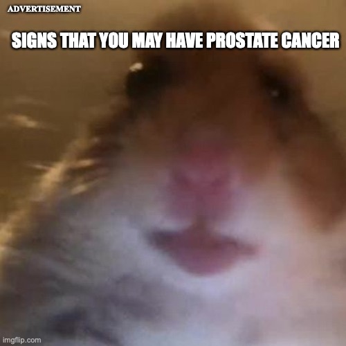 Hampter | SIGNS THAT YOU MAY HAVE PROSTATE CANCER; ADVERTISEMENT | image tagged in hampter | made w/ Imgflip meme maker