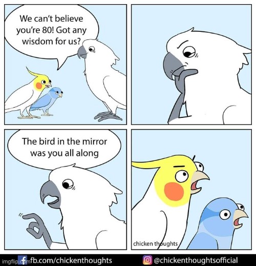 :O | image tagged in birds | made w/ Imgflip meme maker