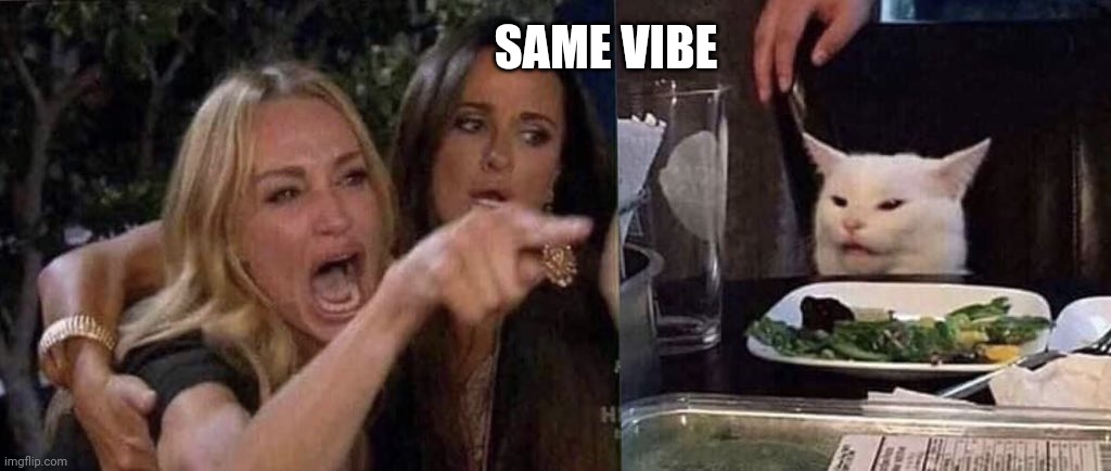 woman yelling at cat | SAME VIBE | image tagged in woman yelling at cat | made w/ Imgflip meme maker