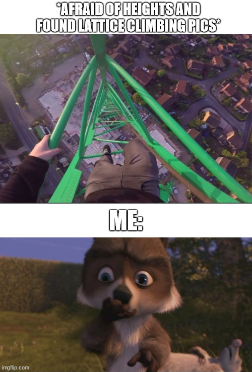 The wrong site on the internet | *AFRAID OF HEIGHTS AND FOUND LATTICE CLIMBING PICS*; ME: | image tagged in lattice climbing,over the hedge,meme,memes,tower,climbing | made w/ Imgflip meme maker