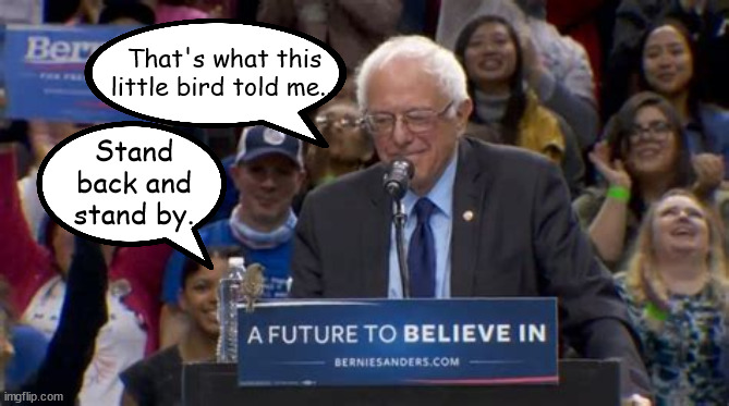 Stand back | That's what this little bird told me... Stand back and stand by. | image tagged in stand back and stand by,bernie sanders,little birdie,2nd choice firewall,socailist democrat | made w/ Imgflip meme maker