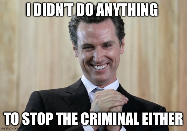Scheming Gavin Newsom  | I DIDN’T DO ANYTHING TO STOP THE CRIMINAL EITHER | image tagged in scheming gavin newsom | made w/ Imgflip meme maker