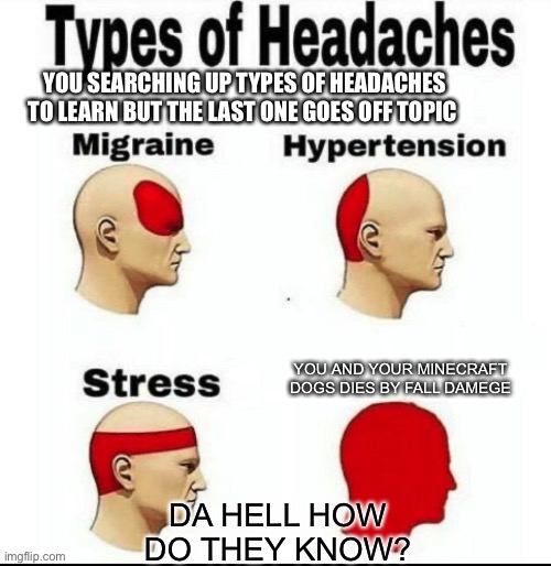 HOW DO THEY KNOW? (Bc they saw your browsing history….) | YOU SEARCHING UP TYPES OF HEADACHES TO LEARN BUT THE LAST ONE GOES OFF TOPIC; YOU AND YOUR MINECRAFT DOGS DIES BY FALL DAMEGE; DA HELL HOW DO THEY KNOW? | image tagged in types of headaches meme | made w/ Imgflip meme maker
