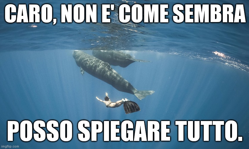CARO, NON E' COME SEMBRA; POSSO SPIEGARE TUTTO. | made w/ Imgflip meme maker