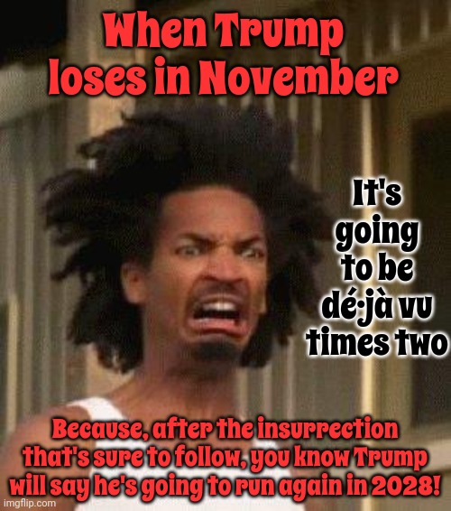 Oh The Horror! | When Trump loses in November; It's going to be dé·​jà vu times two; Because, after the insurrection that's sure to follow, you know Trump will say he's going to run again in 2028! | image tagged in disgusted face,horror,trump unfit unqualified dangerous,lock him up,disgusting donald,memes | made w/ Imgflip meme maker