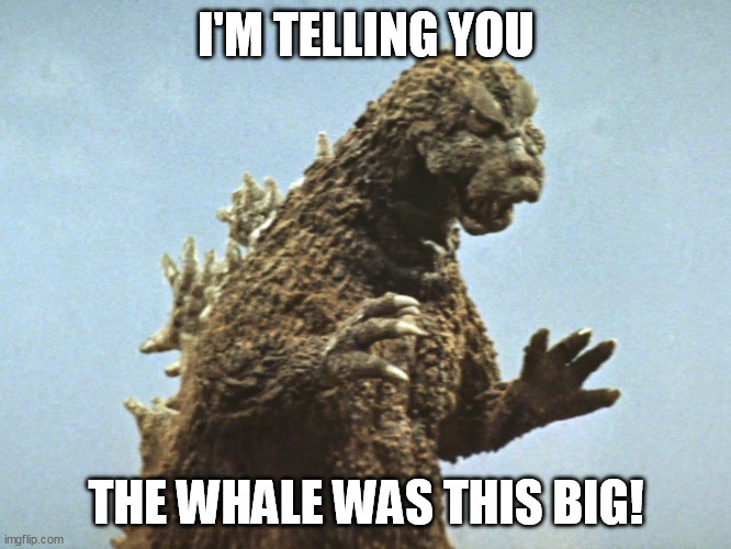 The biggest whale you ever saw! | I'M TELLING YOU; THE WHALE WAS THIS BIG! | image tagged in fishing | made w/ Imgflip meme maker