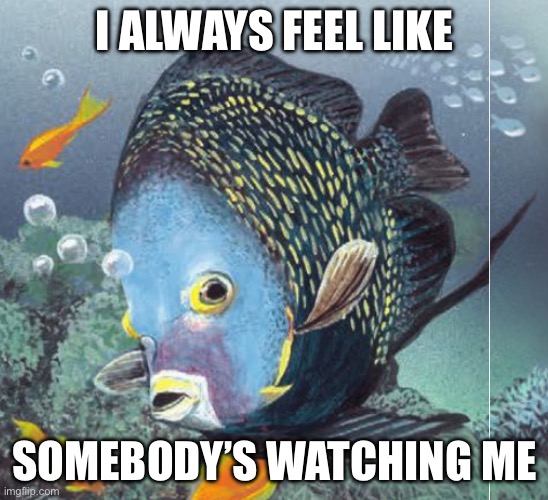 I ALWAYS FEEL LIKE; SOMEBODY’S WATCHING ME | image tagged in fish | made w/ Imgflip meme maker