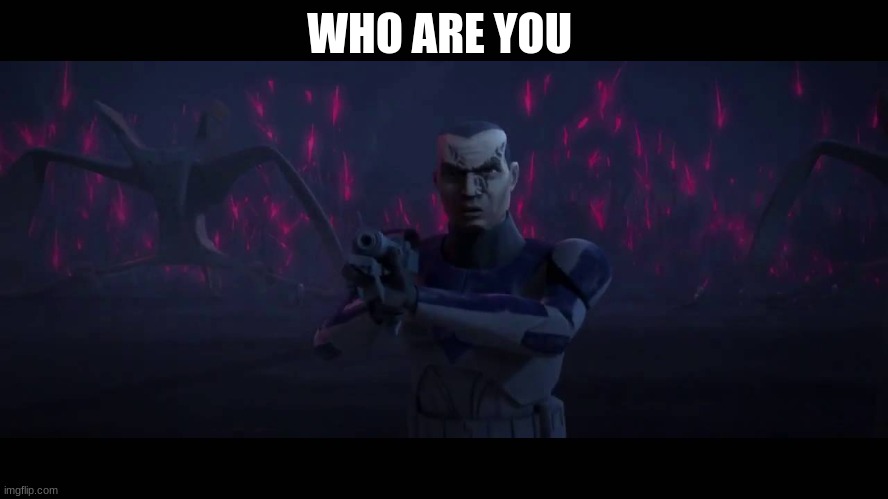 clone trooper | WHO ARE YOU | image tagged in clone trooper | made w/ Imgflip meme maker