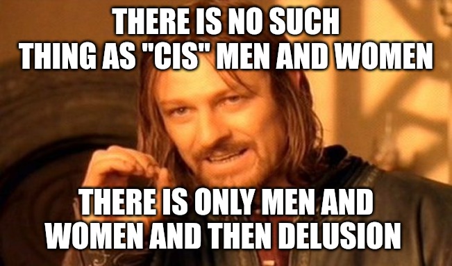 Calling them "cis" men and "cis" women only perpetuates your delusional thinking. You are mentally unstable and need help. | THERE IS NO SUCH THING AS "CIS" MEN AND WOMEN; THERE IS ONLY MEN AND WOMEN AND THEN DELUSION | image tagged in memes,one does not simply | made w/ Imgflip meme maker