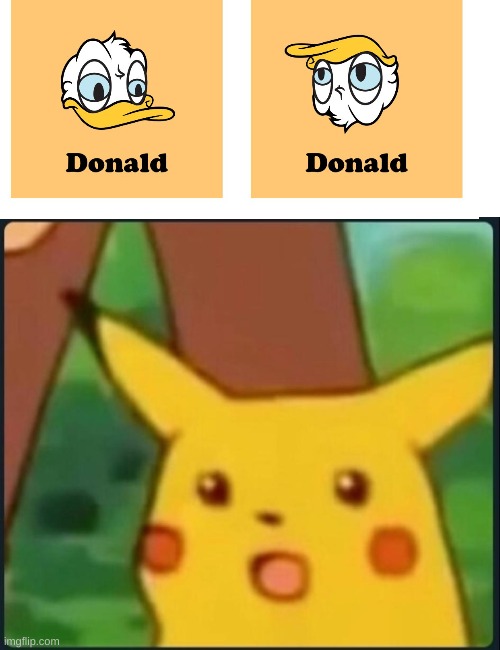 Who knew if you turn Donald Duck upside down you get the other Donald? That is very clever. | image tagged in surprised pikachu,memes | made w/ Imgflip meme maker