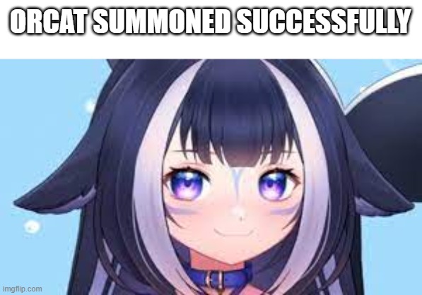 ORCAT SUMMONED SUCCESSFULLY | made w/ Imgflip meme maker