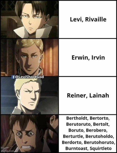 Hoover is easier. | image tagged in aot,snk,attack on titan,names for things,memes,wtf | made w/ Imgflip meme maker