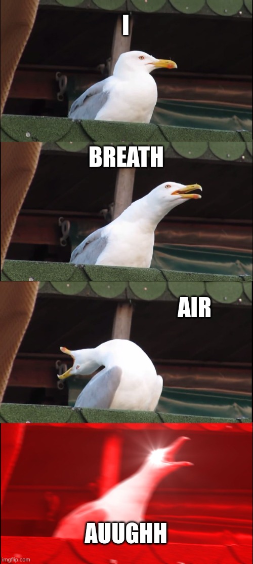 Inhaling Seagull | I; BREATH; AIR; AUUGHH | image tagged in memes,inhaling seagull | made w/ Imgflip meme maker