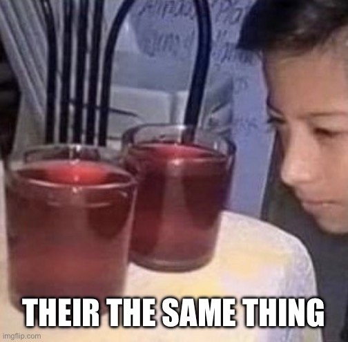 Same thing | THEIR THE SAME THING | image tagged in same thing | made w/ Imgflip meme maker