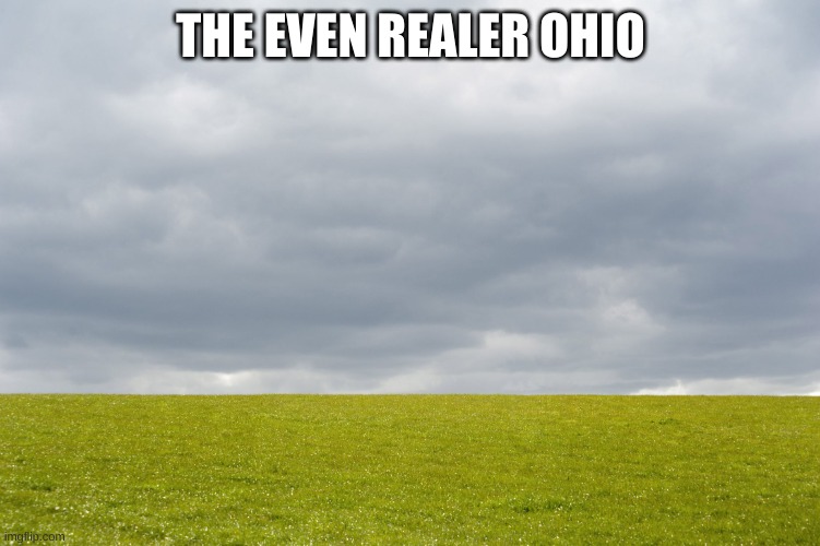 Empty Field | THE EVEN REALER OHIO | image tagged in empty field | made w/ Imgflip meme maker