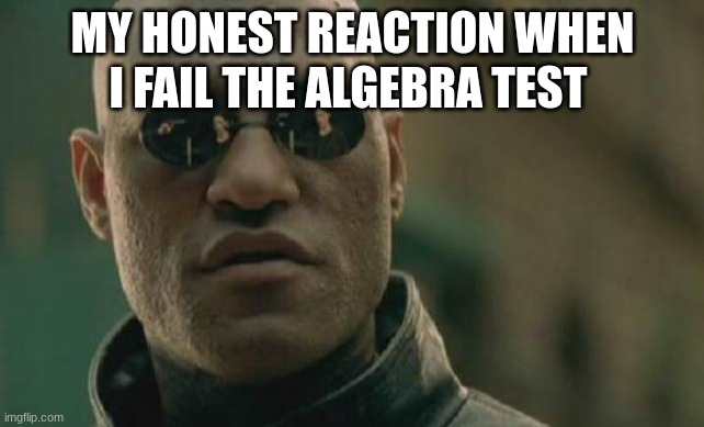 Matrix Morpheus | MY HONEST REACTION WHEN I FAIL THE ALGEBRA TEST | image tagged in memes,matrix morpheus | made w/ Imgflip meme maker