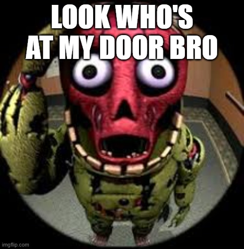 bros after my children | LOOK WHO'S AT MY DOOR BRO | image tagged in fnaf,fnaf 3,fun,funny,springtrap,too funny | made w/ Imgflip meme maker