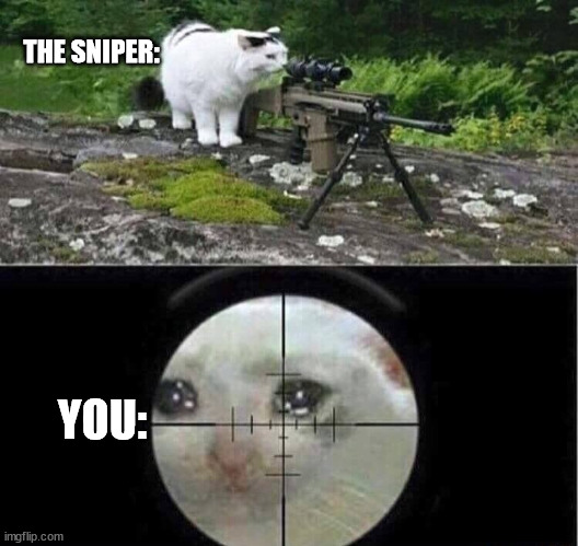 Sniper cat aim crying cat | THE SNIPER: YOU: | image tagged in sniper cat aim crying cat | made w/ Imgflip meme maker
