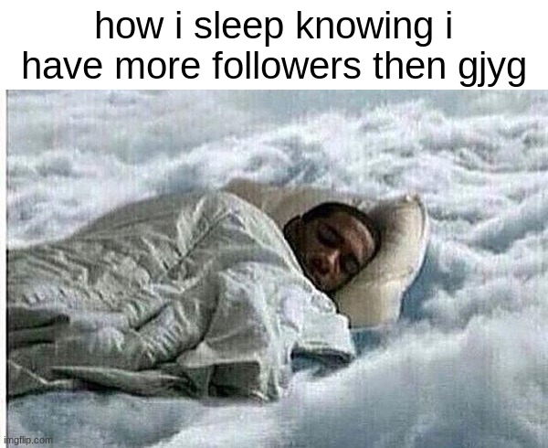 How I Sleep | how i sleep knowing i have more followers then gjyg | image tagged in how i sleep | made w/ Imgflip meme maker