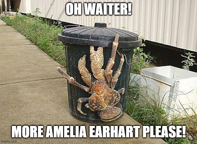 OH WAITER! MORE AMELIA EARHART PLEASE! | image tagged in history,crab | made w/ Imgflip meme maker