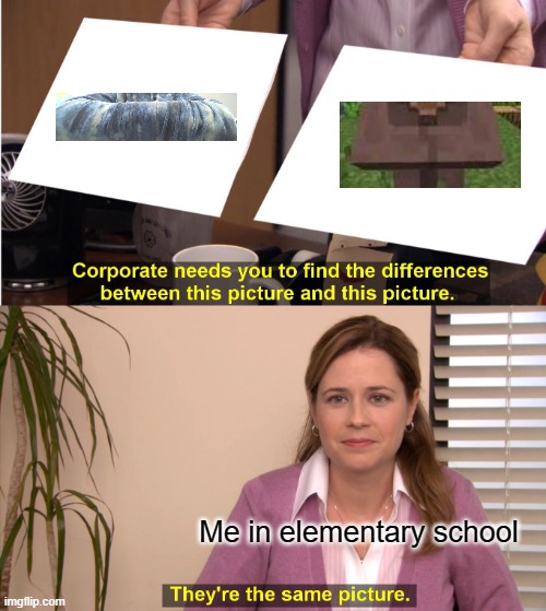 Was this just me | Me in elementary school | image tagged in memes,they're the same picture,minecraft,elementary,villager,minecraft villagers | made w/ Imgflip meme maker
