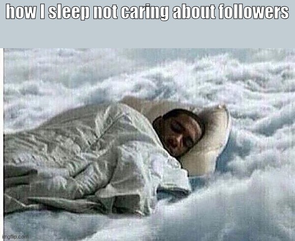 How I Sleep | how I sleep not caring about followers | image tagged in how i sleep | made w/ Imgflip meme maker