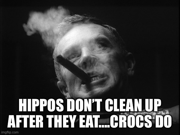 General Ripper (Dr. Strangelove) | HIPPOS DON’T CLEAN UP AFTER THEY EAT….CROCS DO | image tagged in general ripper dr strangelove | made w/ Imgflip meme maker