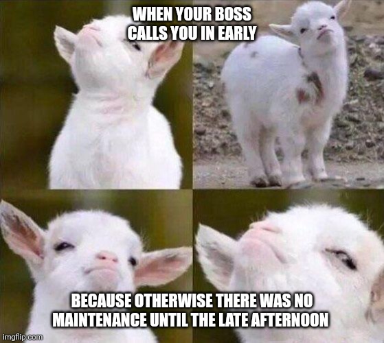 I love this "I called it" feeling | WHEN YOUR BOSS CALLS YOU IN EARLY; BECAUSE OTHERWISE THERE WAS NO MAINTENANCE UNTIL THE LATE AFTERNOON | image tagged in smug goat,knew it | made w/ Imgflip meme maker