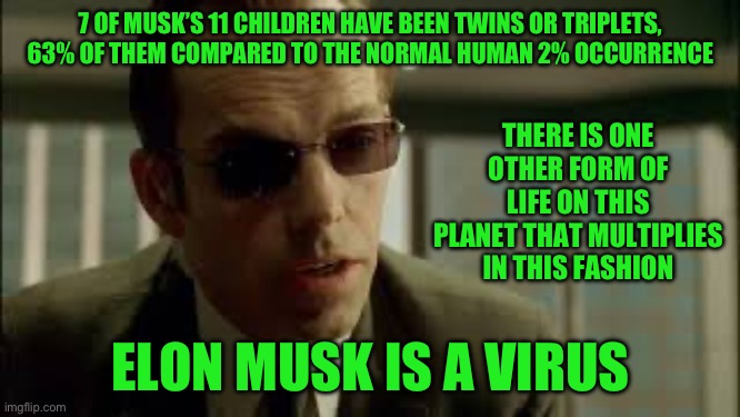 7 OF MUSK’S 11 CHILDREN HAVE BEEN TWINS OR TRIPLETS, 63% OF THEM COMPARED TO THE NORMAL HUMAN 2% OCCURRENCE; THERE IS ONE OTHER FORM OF LIFE ON THIS PLANET THAT MULTIPLIES IN THIS FASHION; ELON MUSK IS A VIRUS | image tagged in celebrity | made w/ Imgflip meme maker