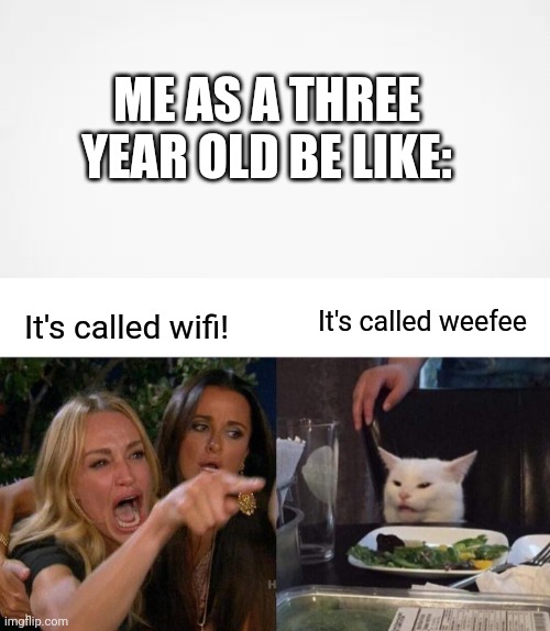 Me As A Three Year Old Be Like: | ME AS A THREE YEAR OLD BE LIKE:; It's called wifi! It's called weefee | image tagged in memes,woman yelling at cat | made w/ Imgflip meme maker