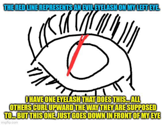 Blank White Template | THE RED LINE REPRESENTS AN EVIL EYELASH ON MY LEFT EYE. I HAVE ONE EYELASH THAT DOES THIS... ALL OTHERS CURL UPWARD THE WAY THEY ARE SUPPOSED TO... BUT THIS ONE, JUST GOES DOWN IN FRONT OF MY EYE | image tagged in blank white template | made w/ Imgflip meme maker