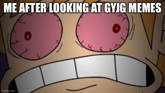 My eyes! | ME AFTER LOOKING AT GYJG MEMES | image tagged in my eyes | made w/ Imgflip meme maker