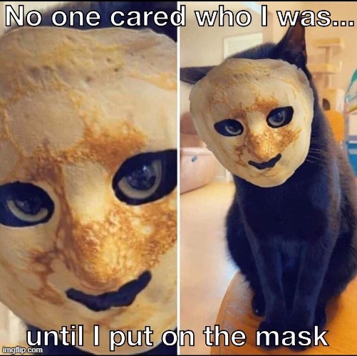 How I became a Cool Cat | image tagged in vince vance,pancake,masks,cats,funny cat memes,crepes | made w/ Imgflip meme maker